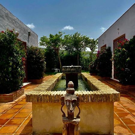 Hotel Spirit Garden Tarifa Exterior foto