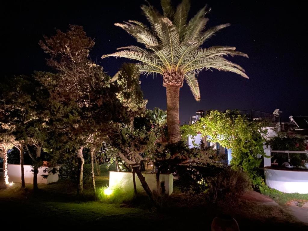 Hotel Spirit Garden Tarifa Exterior foto