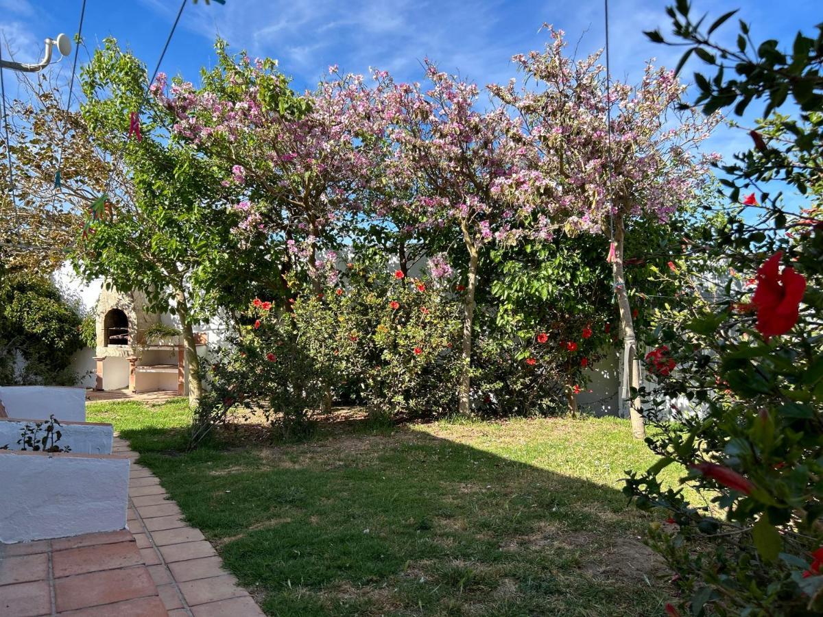 Hotel Banti Garden Tarifa Exterior foto